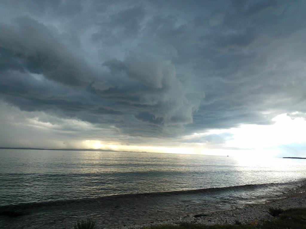 Grzunov * Zadar