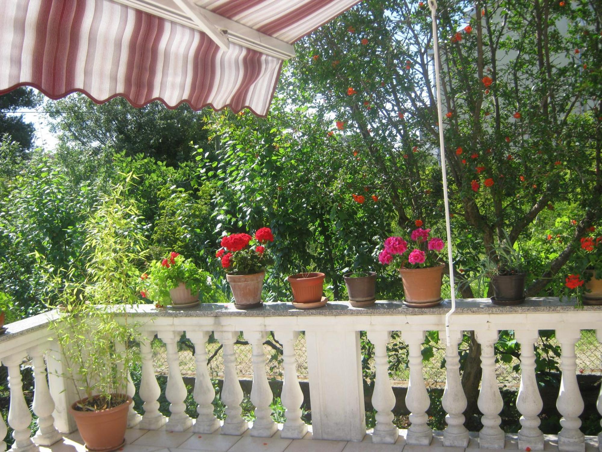 Apartament Grzunov