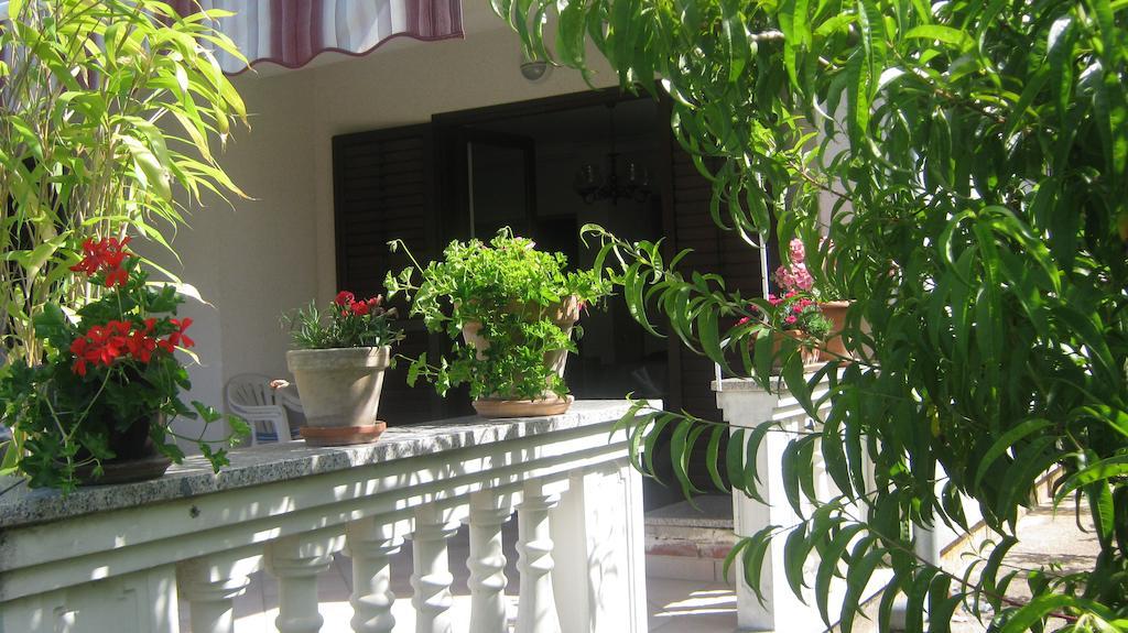 Apartament Grzunov *