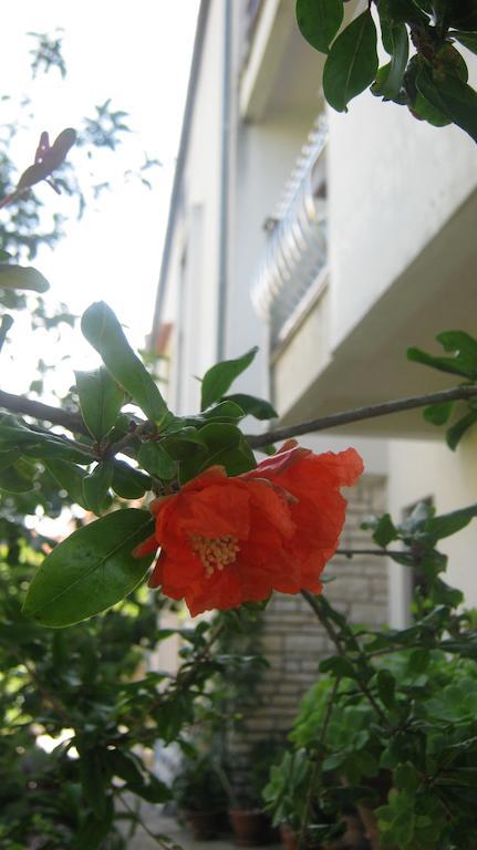 Grzunov