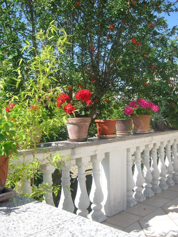 Grzunov Apartament *
